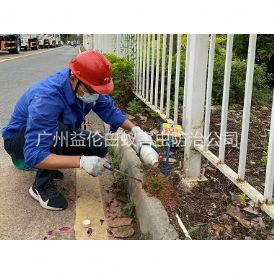 狮山红火蚁防治工程